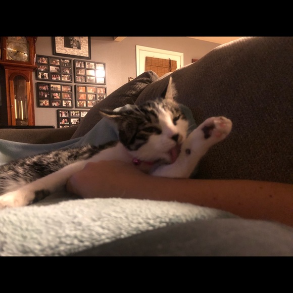 Meet your Posher, Jacque - Picture 1 of 1